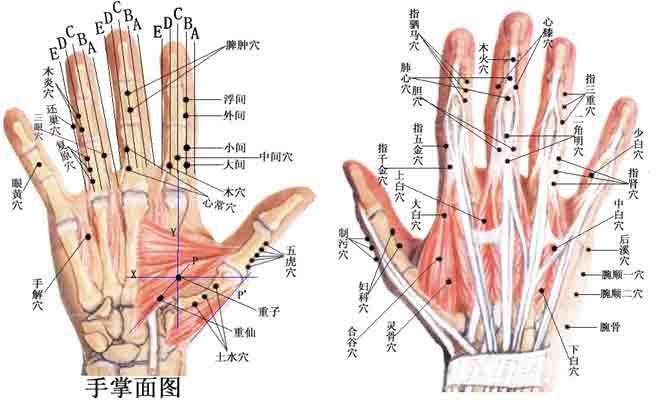 至真要大论篇第七十四黄帝问曰：五气交合，盈虚更作，余知之矣