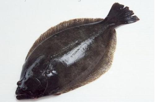 爆浆鱼子酱颗粒,大颗粒鱼籽合集