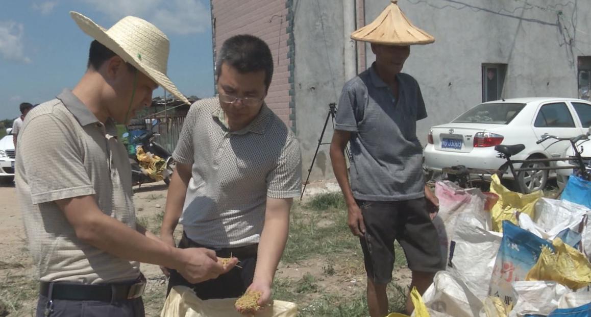 地力补贴是按照确权面积补贴吗,土地补贴是按确权前还是确权后给