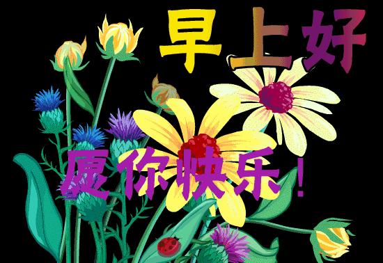 早上好的祝福语大全动图,早上好问候祝福语大全动态图
