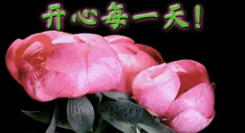 早上好的祝福语大全动图,早上好问候祝福语大全动态图