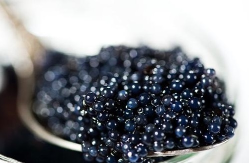 爆浆鱼子酱颗粒,大颗粒鱼籽合集