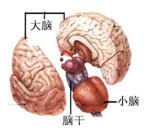 李敖脑癌死前告别,风流浪子李敖完整版视频
