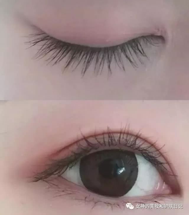 教你做个睫毛精,如何当一只睫毛精