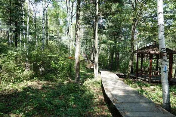 林权证有几户可以分开吗,林权证分户要多久时间