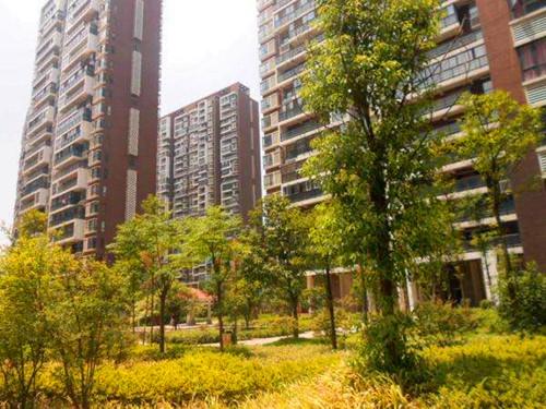 长沙青园小学北校区周边有哪些楼盘？来看综合测评分析