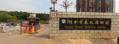 长沙青园小学北校区周边有哪些楼盘？来看综合测评分析