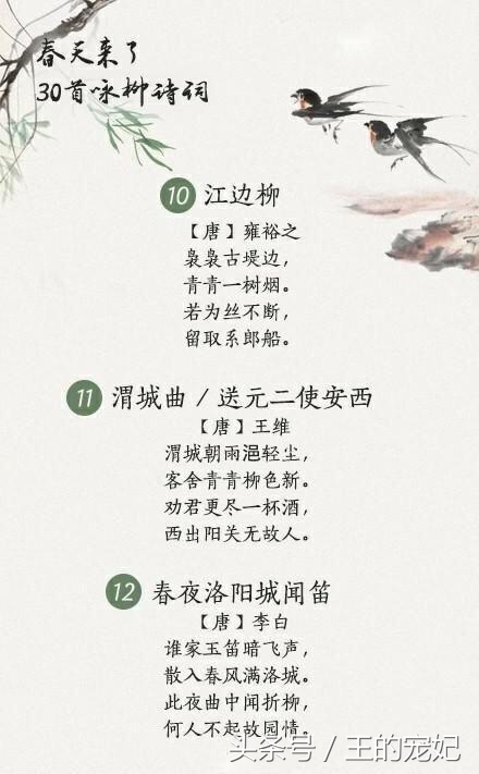 咏柳经典诗词100首,贺知章描述春天柳树的诗句