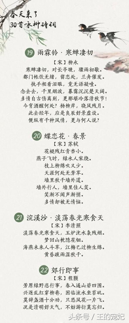 咏柳经典诗词100首,贺知章描述春天柳树的诗句