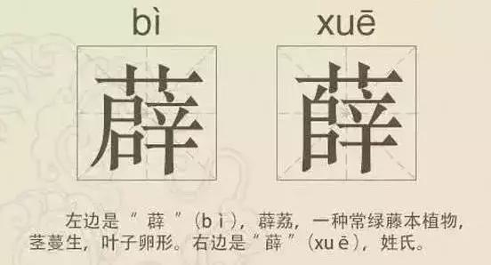 看到这些汉字，我感觉自己的语文白学了！