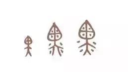 看到这些汉字，我感觉自己的语文白学了！