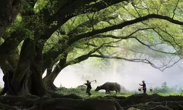 看到这些汉字，我感觉自己的语文白学了！