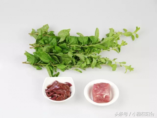 野生枸杞插枝种植方法,春天枸杞盆栽