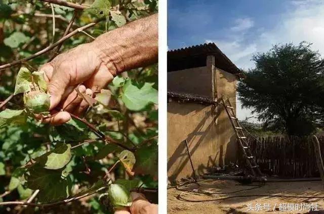 刘雯穿的最时尚的鞋,刘雯穿的小黑鞋