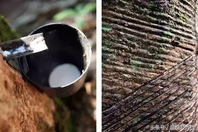 刘雯穿的最时尚的鞋,刘雯穿的小黑鞋