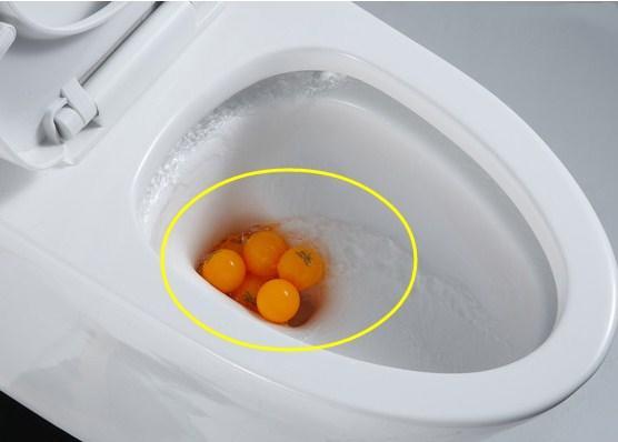 马桶移位15公分后选直冲还是虹吸,马桶移位40公分后选直冲还是虹吸