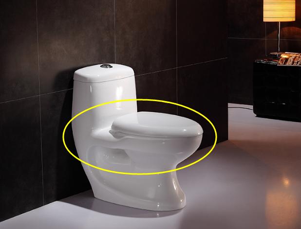 马桶移位15公分后选直冲还是虹吸,马桶移位40公分后选直冲还是虹吸