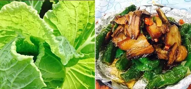 一年之计在春行,一年之计在春天完整版