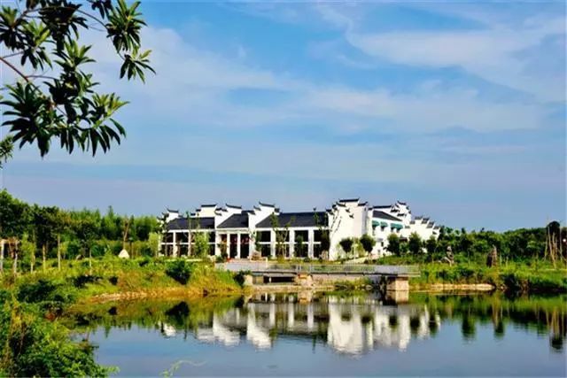 一年之计在春行,一年之计在春天完整版