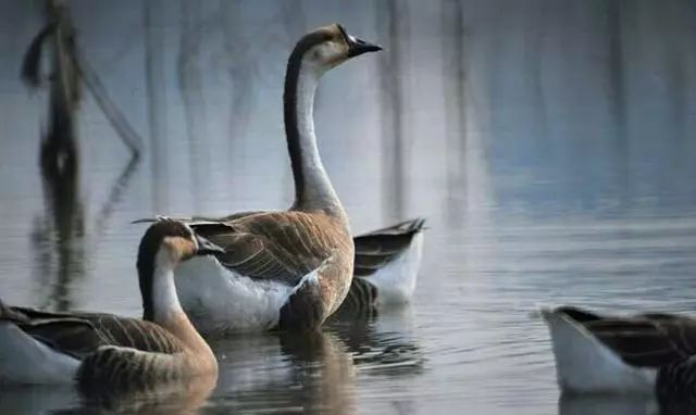 一年之计在春行,一年之计在春天完整版