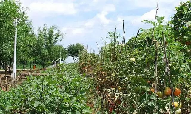 一年之计在春行,一年之计在春天完整版