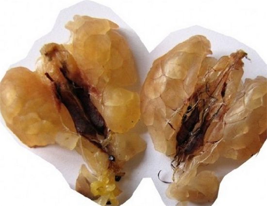 雪蛤膏什么时候喝最好,雪蛤膏是什么