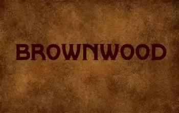 英文名复古,英文名用大写还是小写好记