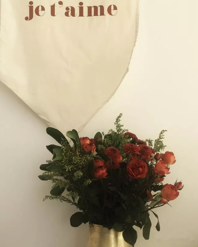 新的一年已经过了一半了,新的一年快要过去了吗