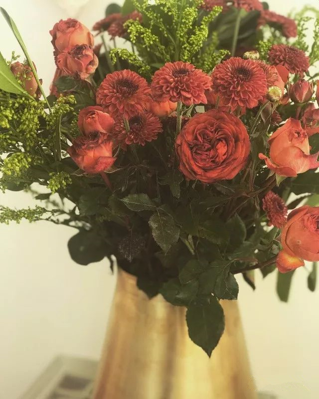 新的一年已经过了一半了,新的一年快要过去了吗