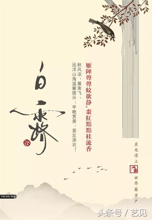 平面广告设计创意表现分析,平面广告设计的对比和衬托