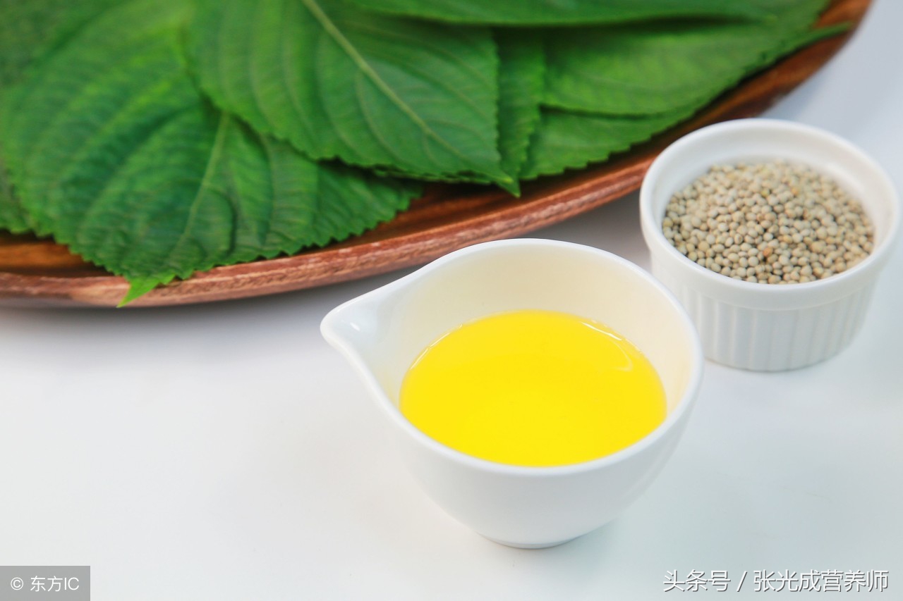 山茶油亚麻籽油橄榄油哪个最好,橄榄油山茶油价格