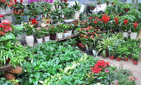 适合小投资的创业项目穷人首选,2018创业好项目小生意