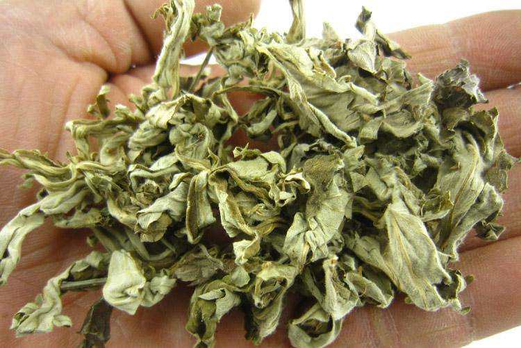 农村有一种草是脚气的克星,农村常见草祛脚气