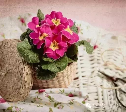 天下雨了，可以撑伞；心下雨了，该怎么办？