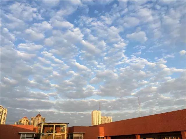 广州市第五中学是重点高中吗,广州市第五中学位置在哪里