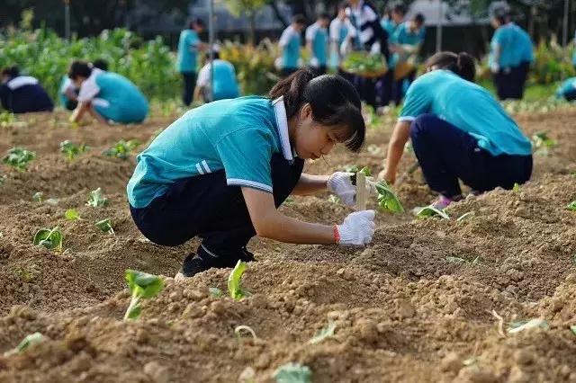 广州市第五中学是重点高中吗,广州市第五中学位置在哪里