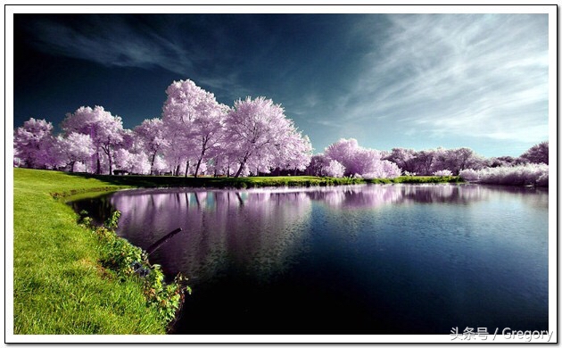 怎么对付毁谤我的人,面对毁谤最好的方式