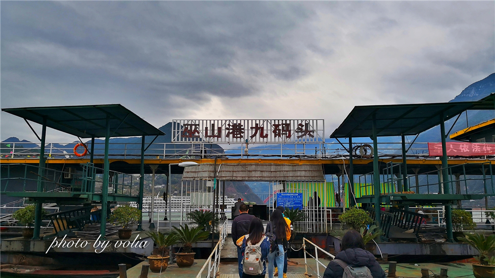 春日乐赏李花“雪”巫山曲尺等你来