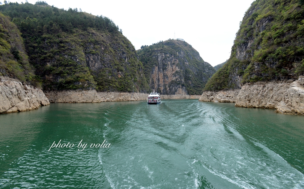 春日乐赏李花“雪”巫山曲尺等你来