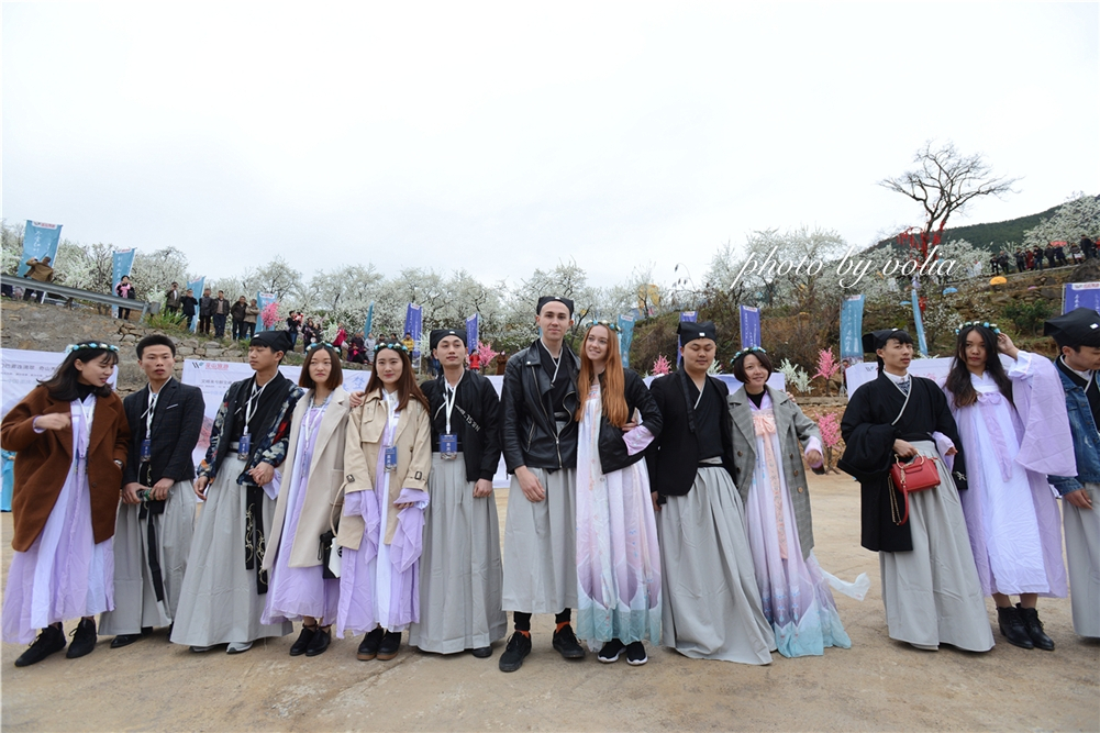 春日乐赏李花“雪”巫山曲尺等你来