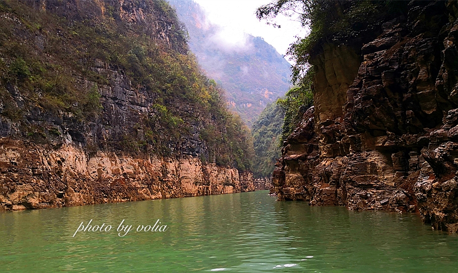 春日乐赏李花“雪”巫山曲尺等你来