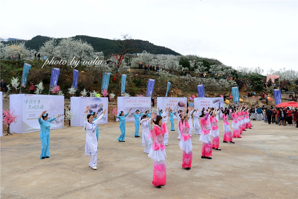春日乐赏李花“雪”巫山曲尺等你来