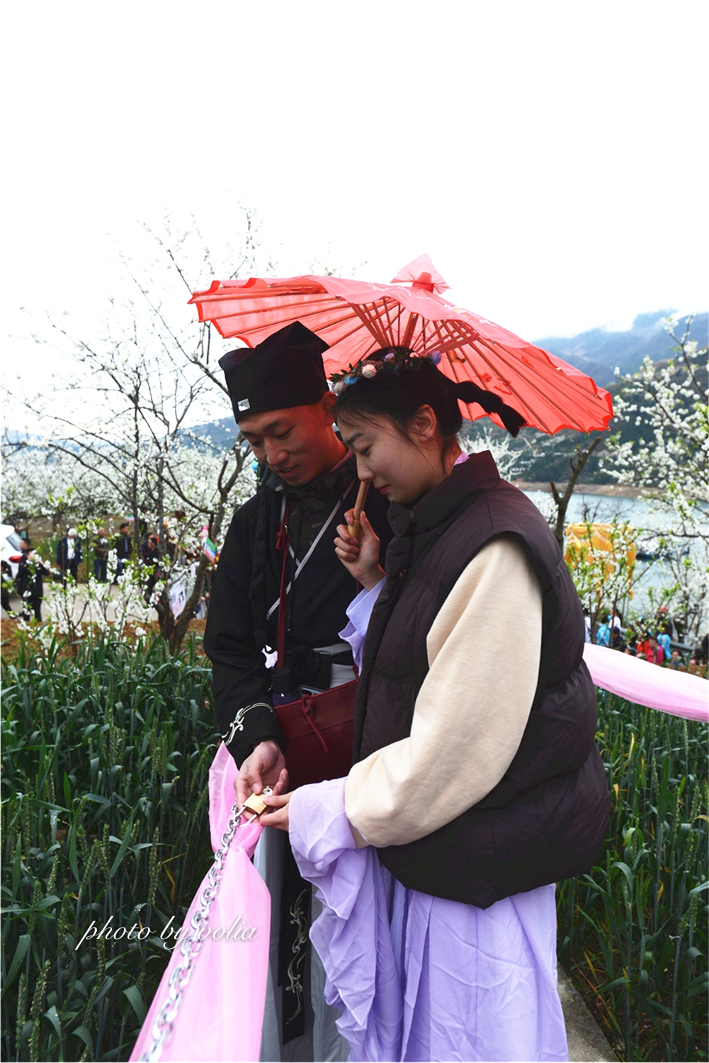 春日乐赏李花“雪”巫山曲尺等你来