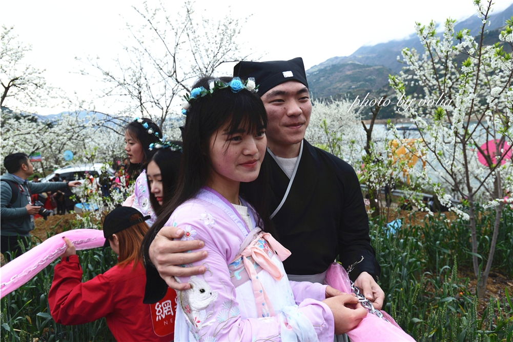 春日乐赏李花“雪”巫山曲尺等你来