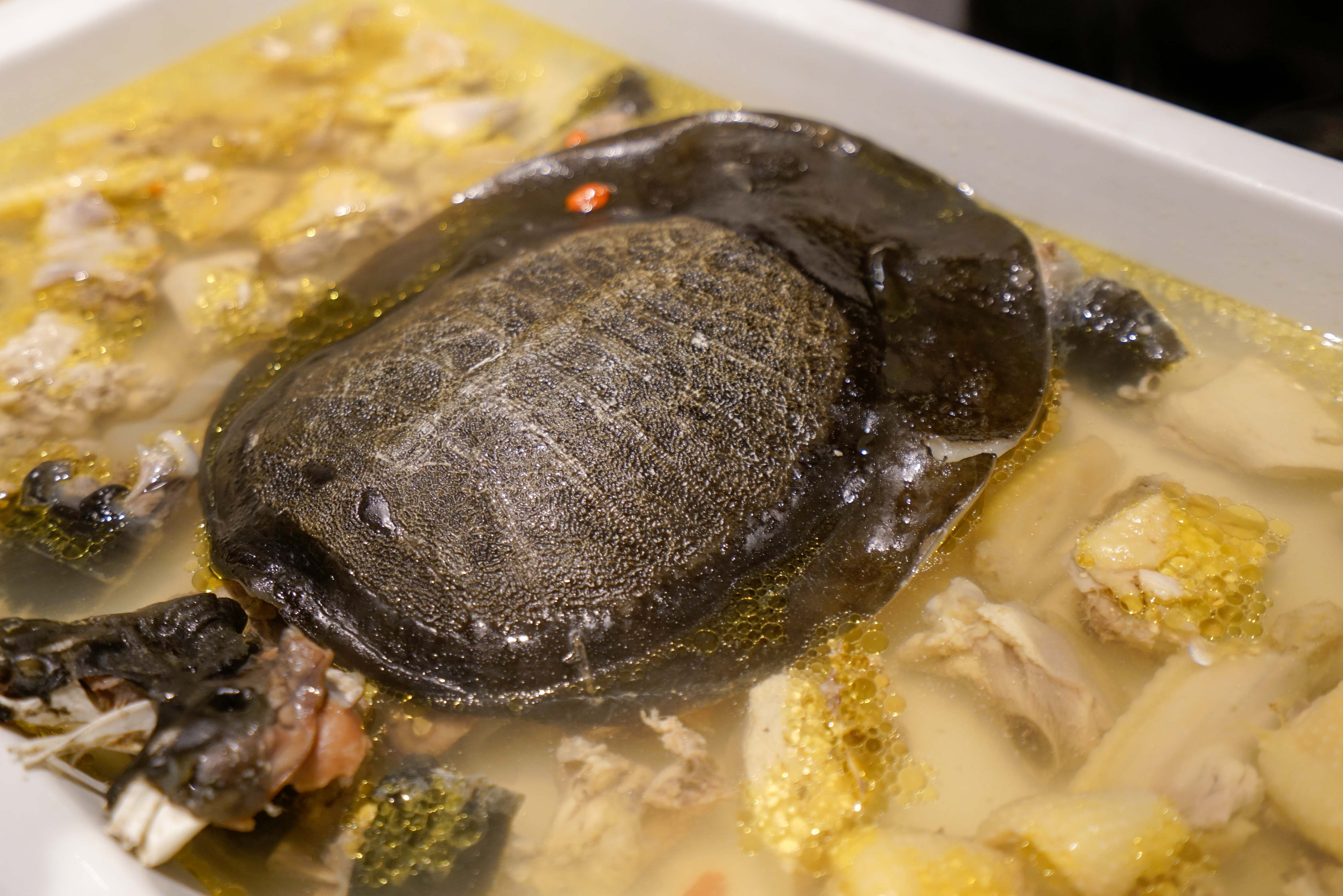 刀鱼季品鲜味,去道道鲜崇明私房菜赴一场刀鱼宴