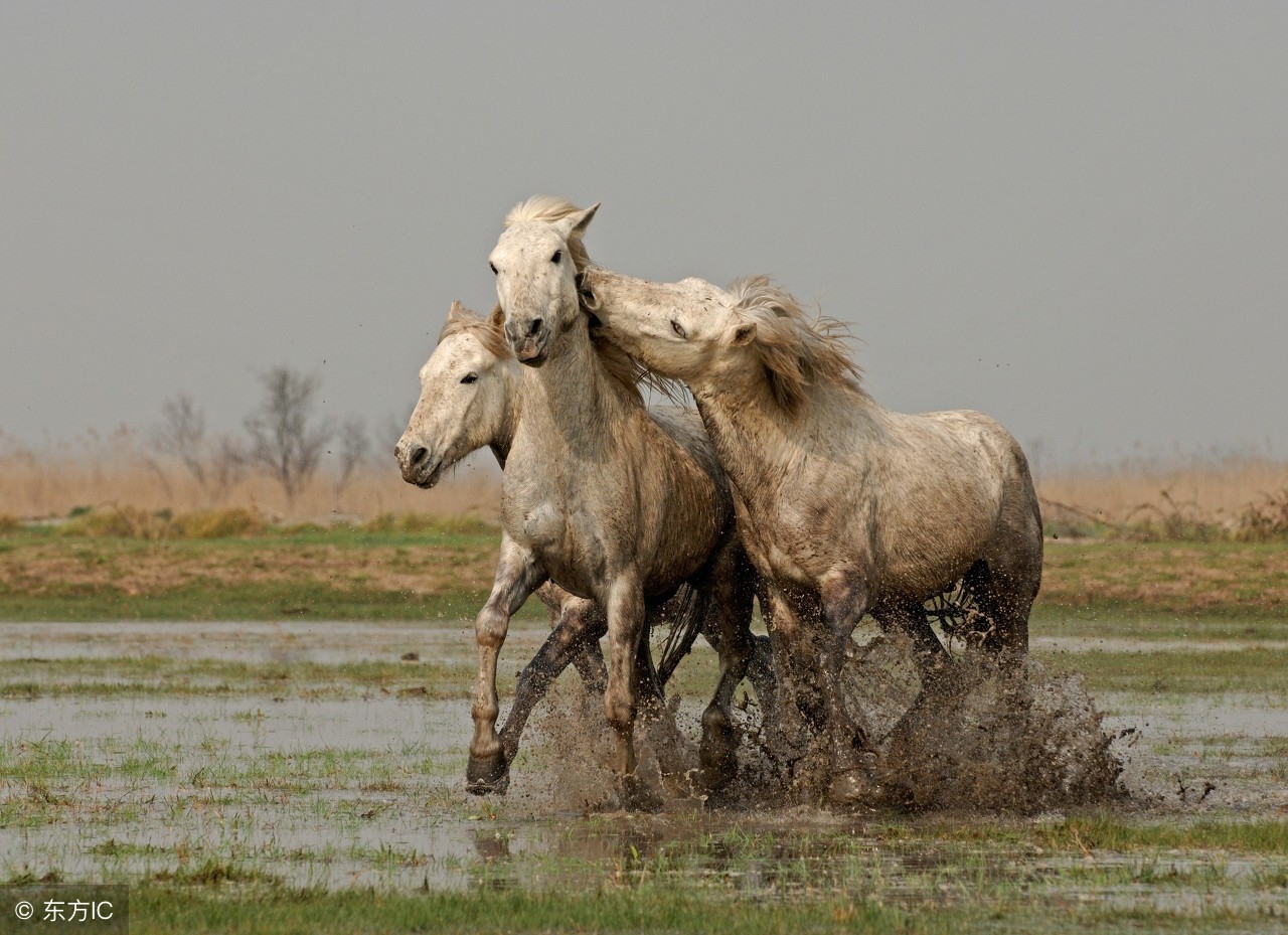 关于马靠奋蹄翻山岭的对联,单人独马的对联