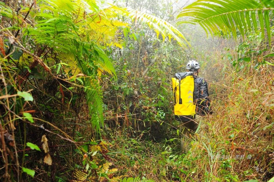 勇闯清远阳山大木村百米地下深渊，告诉你刻骨铭心的18小时！