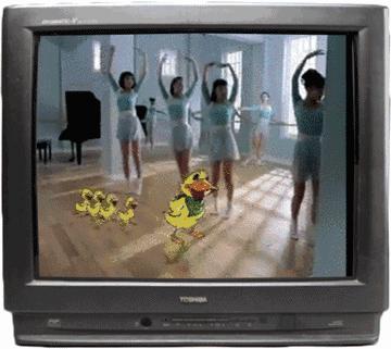 当你嘲笑别人别人也在嘲笑你图片,8848的嘲笑