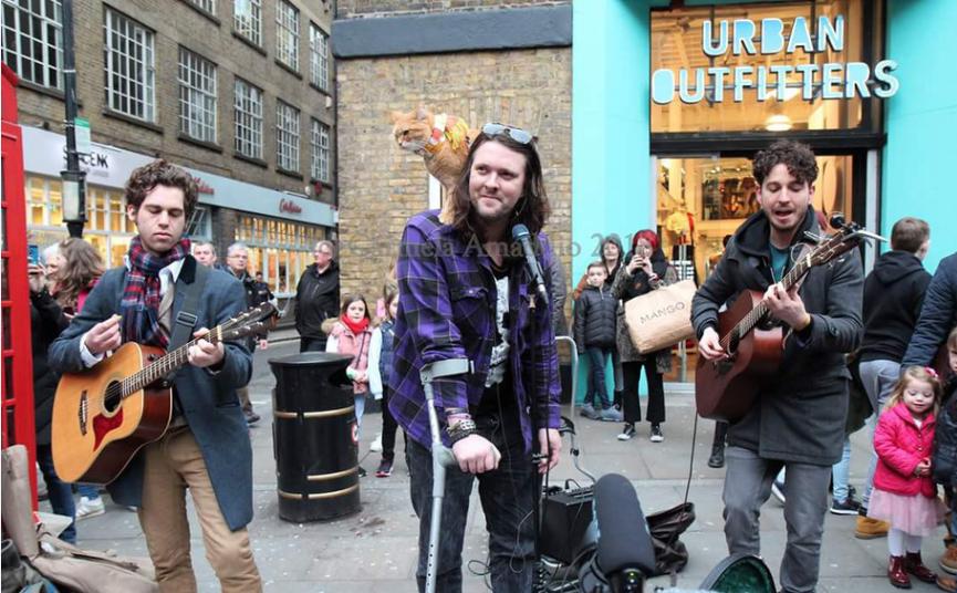 流浪猫鲍勃真实事件改编超感人,流浪猫鲍勃故事梗概