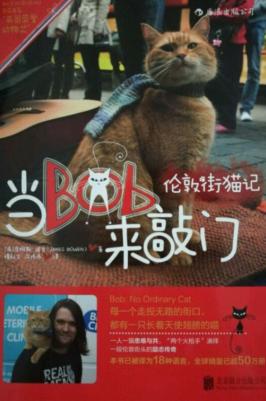 流浪猫鲍勃真实事件改编超感人,流浪猫鲍勃故事梗概